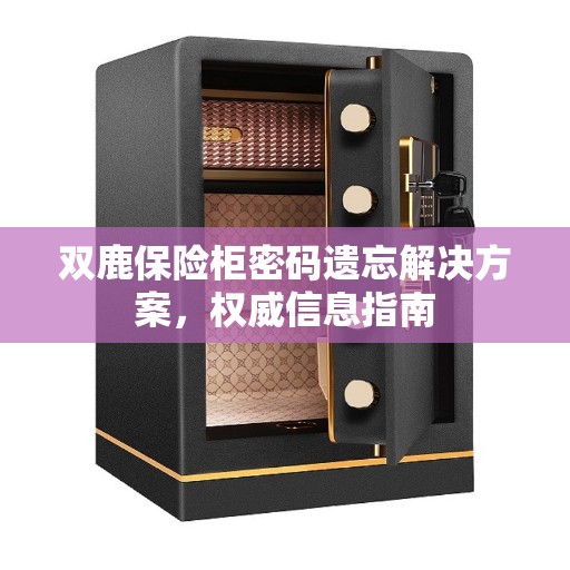 双鹿保险柜密码遗忘解决方案，权威信息指南