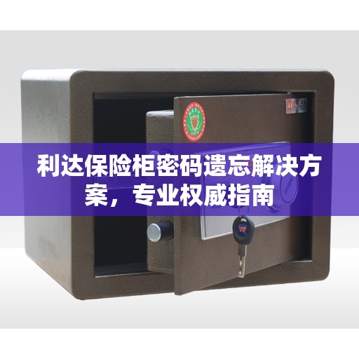 利达保险柜密码遗忘解决方案，专业权威指南