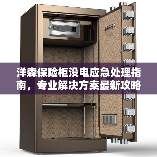 洋森保险柜没电应急处理指南，专业解决方案最新攻略