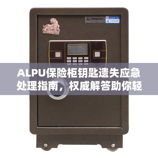 ALPU保险柜钥匙遗失应急处理指南，权威解答助你轻松应对