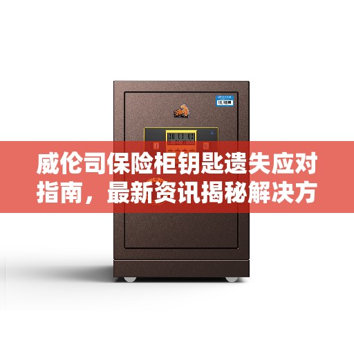 威伦司保险柜钥匙遗失应对指南，最新资讯揭秘解决方案