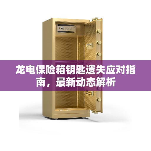 龙电保险箱钥匙遗失应对指南，最新动态解析