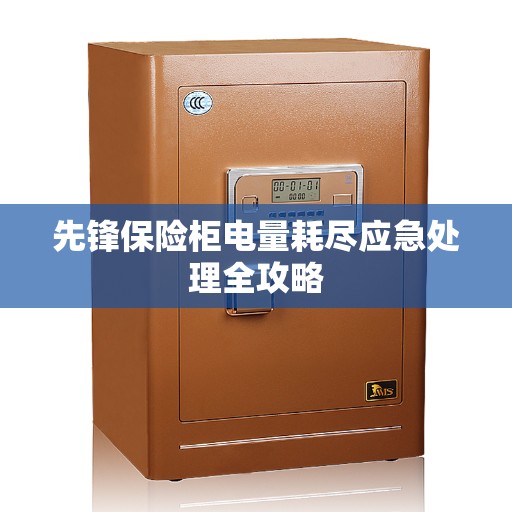 先锋保险柜电量耗尽应急处理全攻略