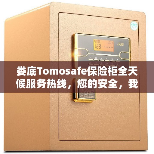 娄底Tomosafe保险柜全天候服务热线，您的安全，我们随时守护