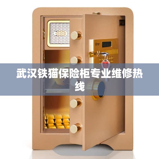 武汉铁猫保险柜专业维修热线
