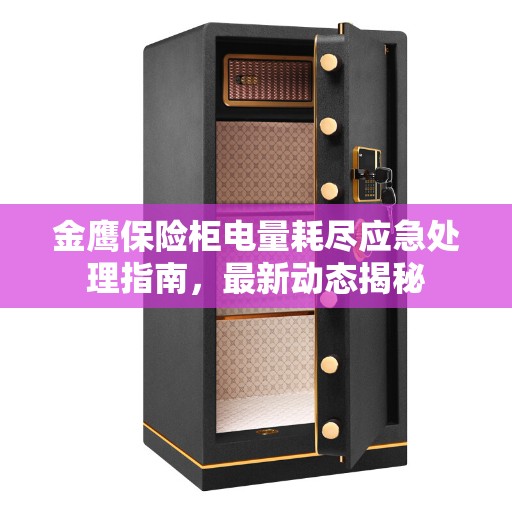 金鹰保险柜电量耗尽应急处理指南，最新动态揭秘