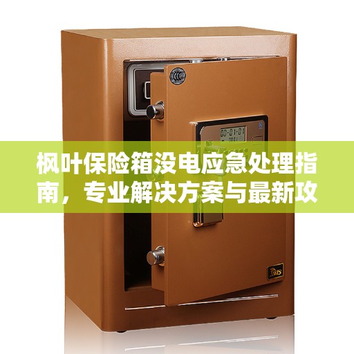 枫叶保险箱没电应急处理指南，专业解决方案与最新攻略