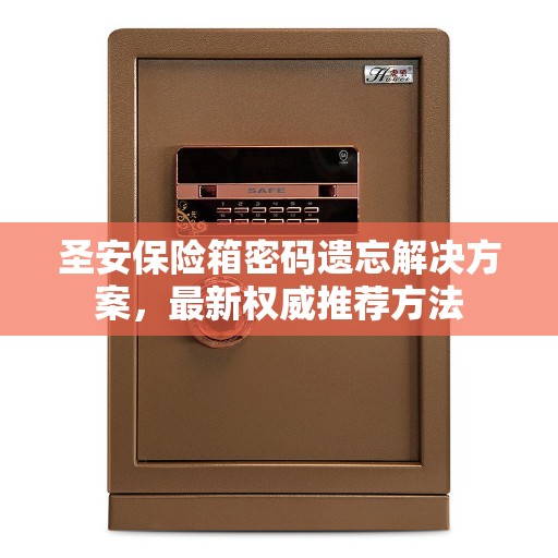 圣安保险箱密码遗忘解决方案，最新权威推荐方法