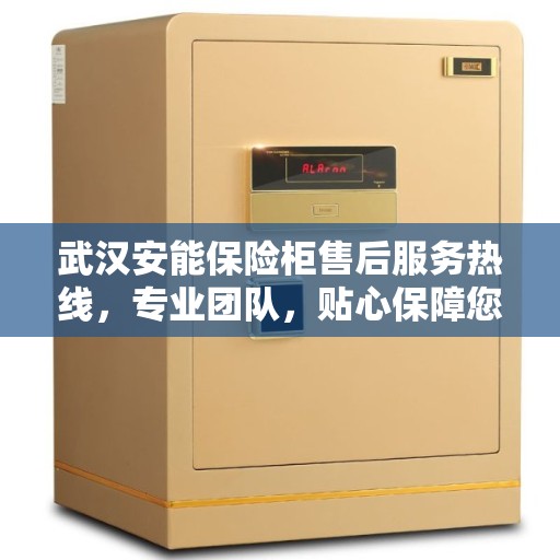武汉安能保险柜售后服务热线，专业团队，贴心保障您的安全需求