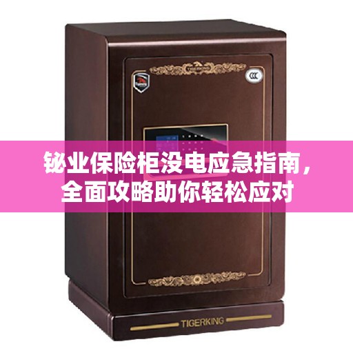 铋业保险柜没电应急指南，全面攻略助你轻松应对