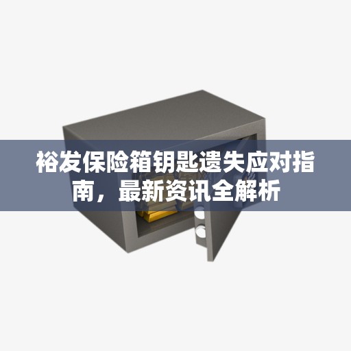 裕发保险箱钥匙遗失应对指南，最新资讯全解析