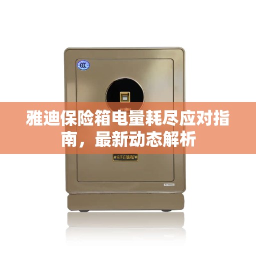 雅迪保险箱电量耗尽应对指南，最新动态解析