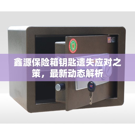 鑫源保险箱钥匙遗失应对之策，最新动态解析