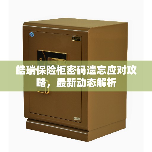皓瑞保险柜密码遗忘应对攻略，最新动态解析