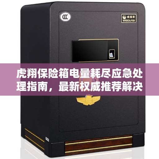 虎翔保险箱电量耗尽应急处理指南，最新权威推荐解决方案