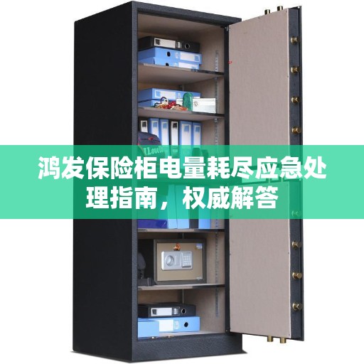 鸿发保险柜电量耗尽应急处理指南，权威解答