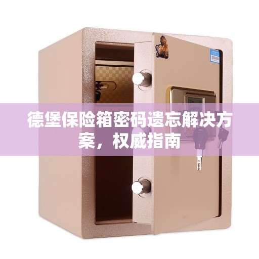 德堡保险箱密码遗忘解决方案，权威指南