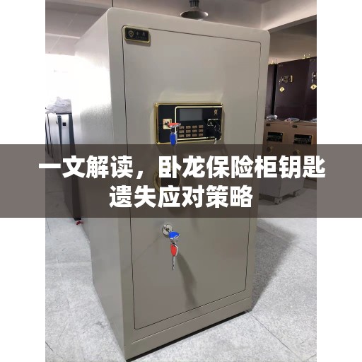 一文解读，卧龙保险柜钥匙遗失应对策略