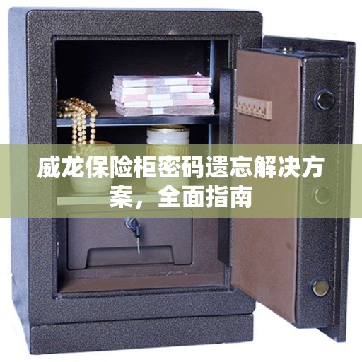 威龙保险柜密码遗忘解决方案，全面指南