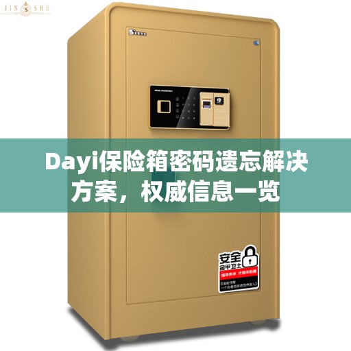 Dayi保险箱密码遗忘解决方案，权威信息一览