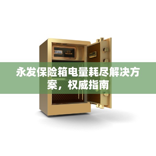 永发保险箱电量耗尽解决方案，权威指南