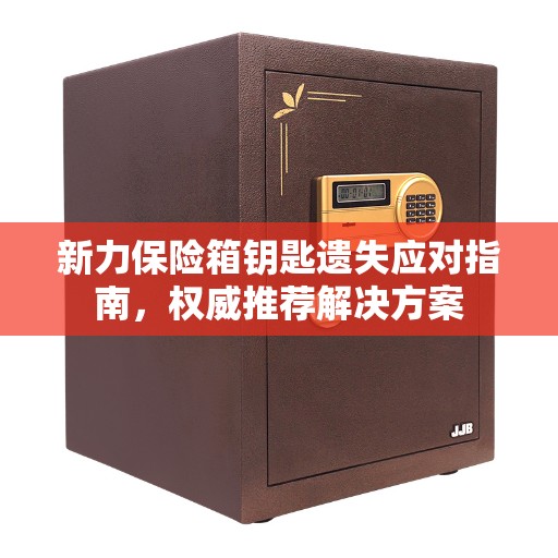 新力保险箱钥匙遗失应对指南，权威推荐解决方案