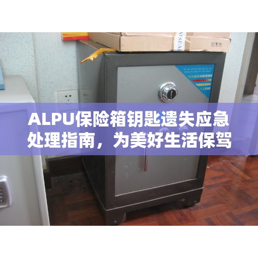 ALPU保险箱钥匙遗失应急处理指南，为美好生活保驾护航