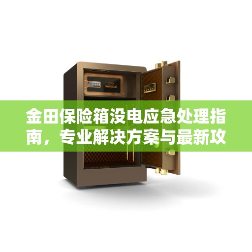金田保险箱没电应急处理指南，专业解决方案与最新攻略