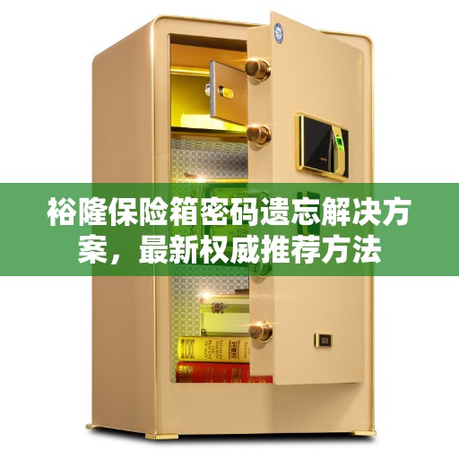 裕隆保险箱密码遗忘解决方案，最新权威推荐方法