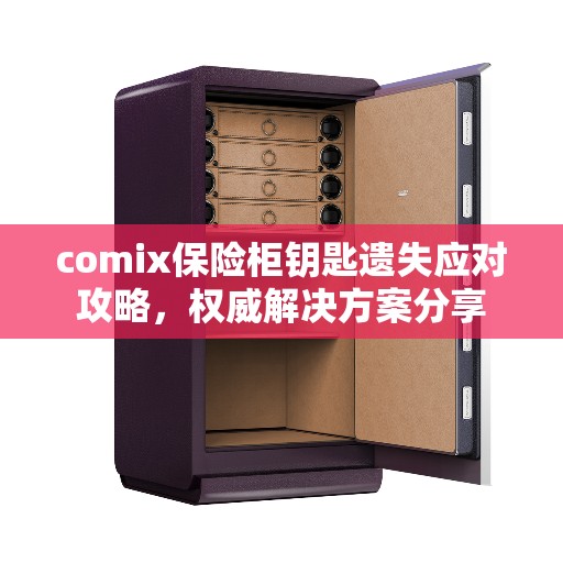 comix保险柜钥匙遗失应对攻略，权威解决方案分享