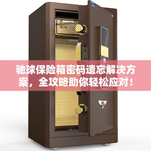驰球保险箱密码遗忘解决方案，全攻略助你轻松应对！