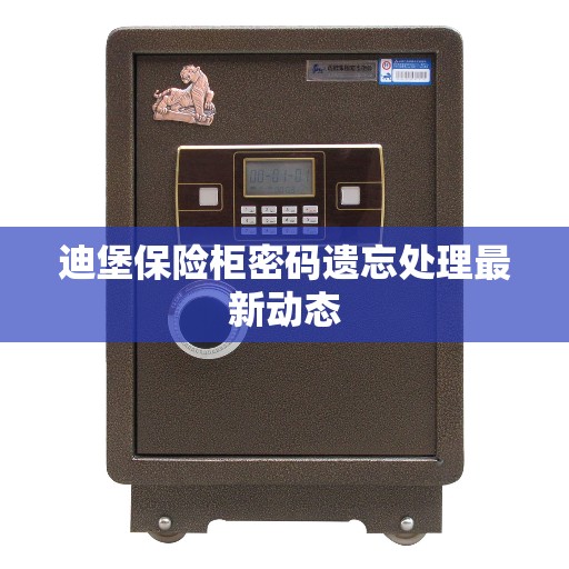 迪堡保险柜密码遗忘处理最新动态