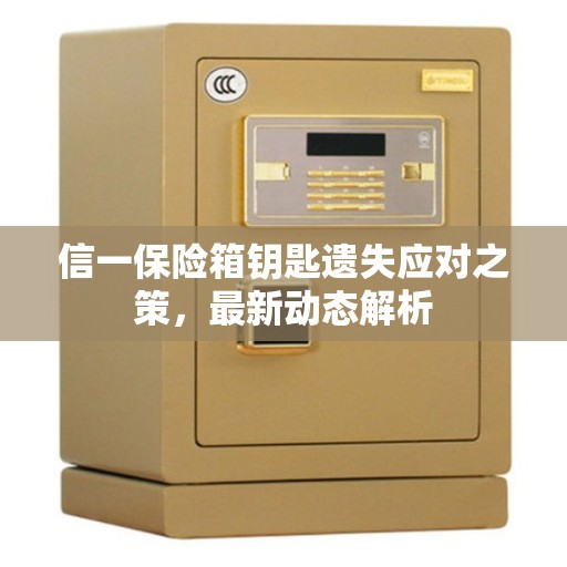 信一保险箱钥匙遗失应对之策，最新动态解析