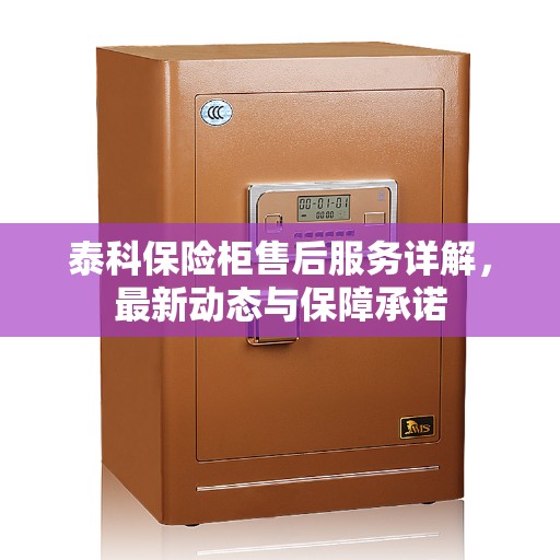 泰科保险柜售后服务详解，最新动态与保障承诺