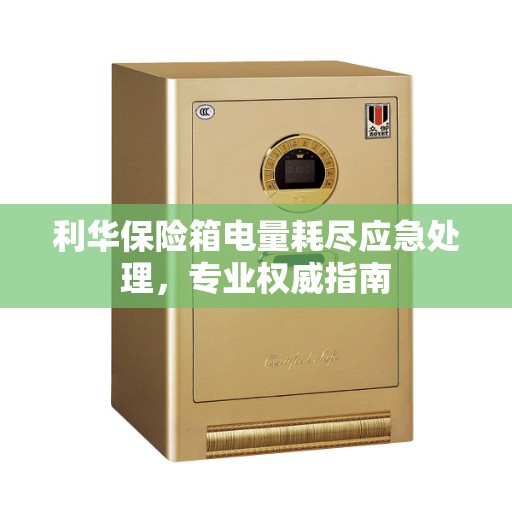 利华保险箱电量耗尽应急处理，专业权威指南