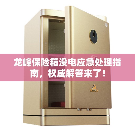 龙峰保险箱没电应急处理指南，权威解答来了！