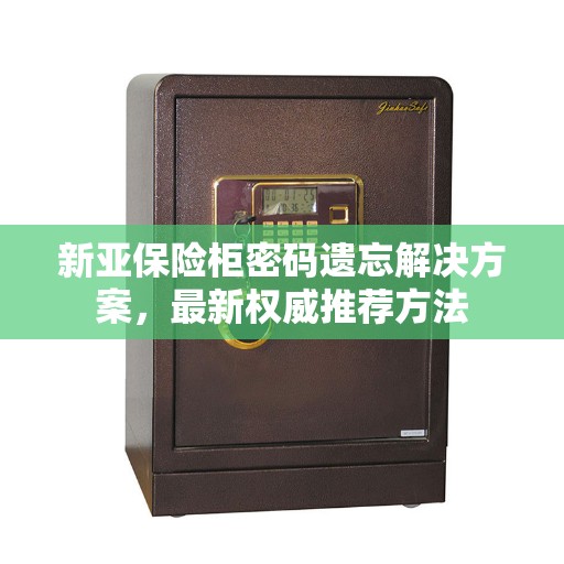 新亚保险柜密码遗忘解决方案，最新权威推荐方法