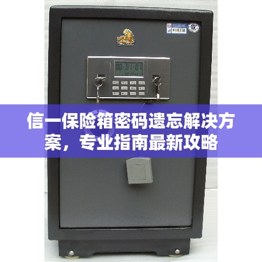 信一保险箱密码遗忘解决方案，专业指南最新攻略