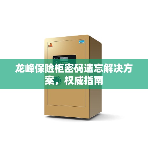 龙峰保险柜密码遗忘解决方案，权威指南