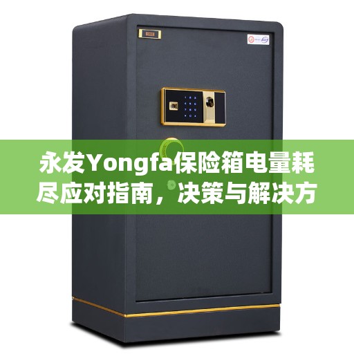 永发Yongfa保险箱电量耗尽应对指南，决策与解决方案