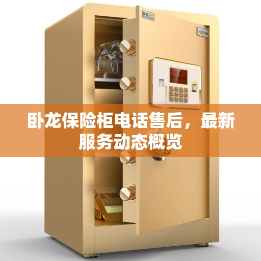卧龙保险柜电话售后，最新服务动态概览