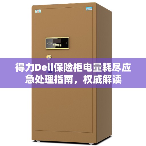 得力Deli保险柜电量耗尽应急处理指南，权威解读