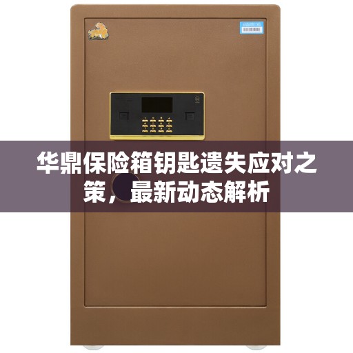 华鼎保险箱钥匙遗失应对之策,最新动态解析 华鼎保险箱钥匙遗失应对之策,最新动态解析