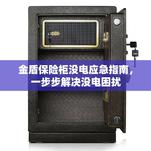 金盾保险柜没电应急指南，一步步解决没电困扰