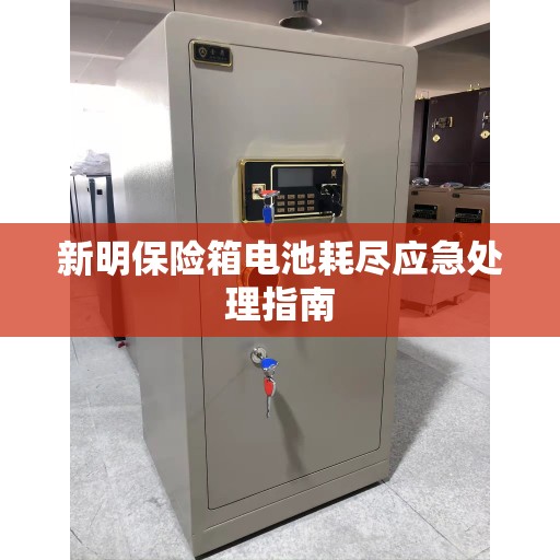 新明保险箱电池耗尽应急处理指南