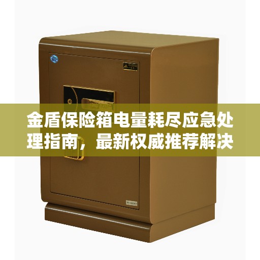 金盾保险箱电量耗尽应急处理指南，最新权威推荐解决方案