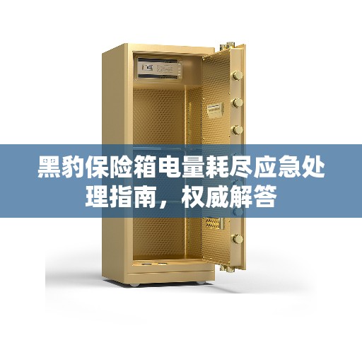 黑豹保险箱电量耗尽应急处理指南，权威解答