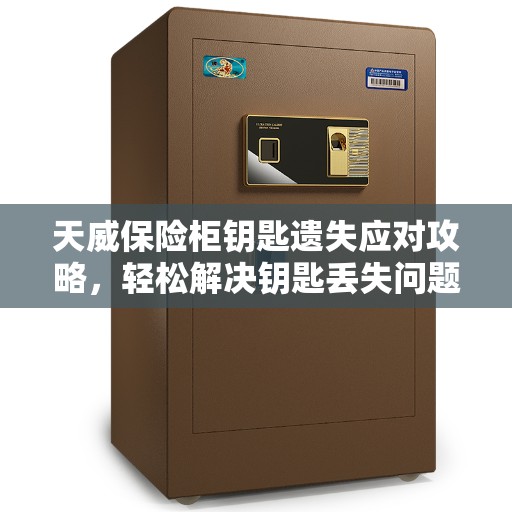 天威保险柜钥匙遗失应对攻略，轻松解决钥匙丢失问题
