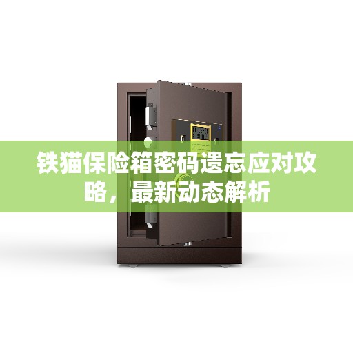 铁猫保险箱密码遗忘应对攻略，最新动态解析