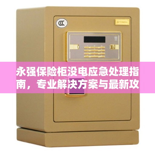 永强保险柜没电应急处理指南，专业解决方案与最新攻略